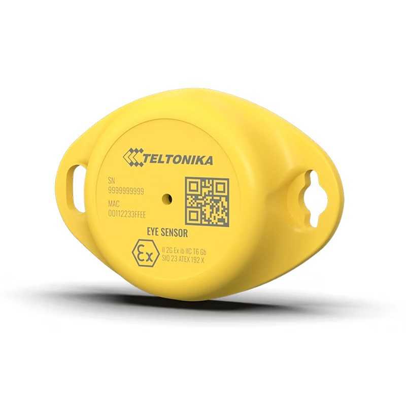 Sensor